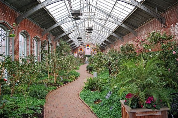 Glazed conservatory interior at Linnean House